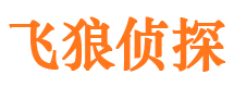 泰安出轨调查